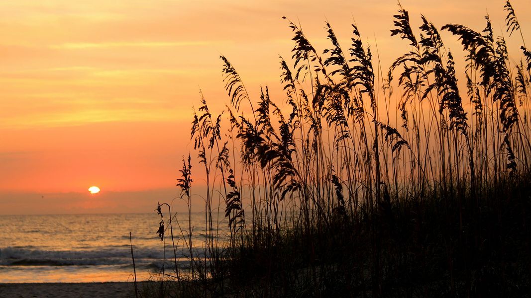 Outdoor and nature views near homes built from the Baxter by D.R. Horton in Liberty Cove, Yulee (Image 27).