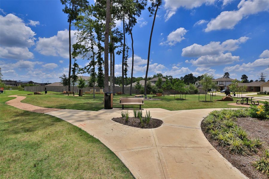 Community amenities in Cielo, Conroe (Image 17).