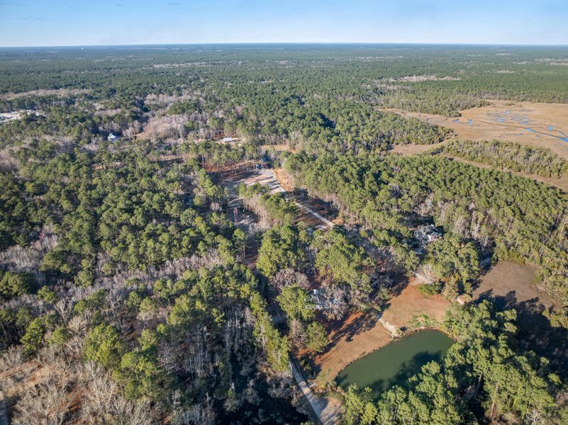 Natural landscape and outdoor views near  in Charleston (Image 20).