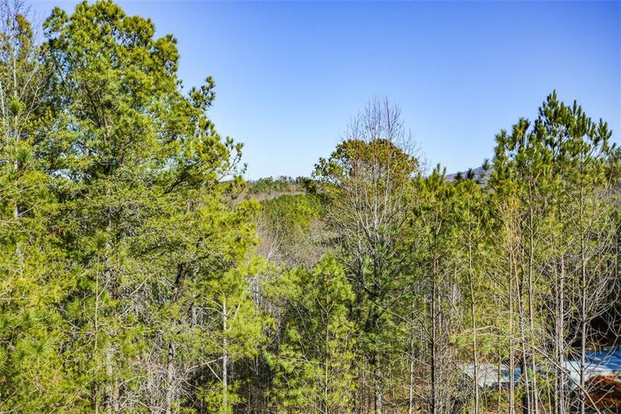 Natural landscape and outdoor views near  in Jasper (Image 32).