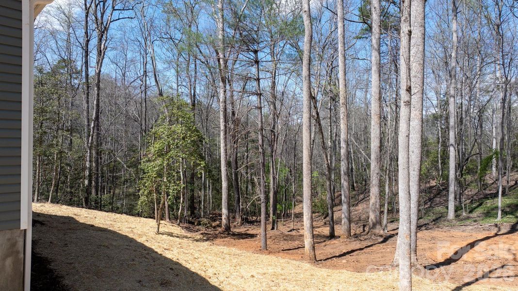 Natural landscape and outdoor views near  in Valdese (Image 21).