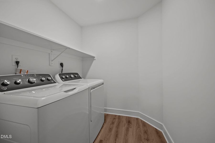 20-web-or-mls-IMG_4804