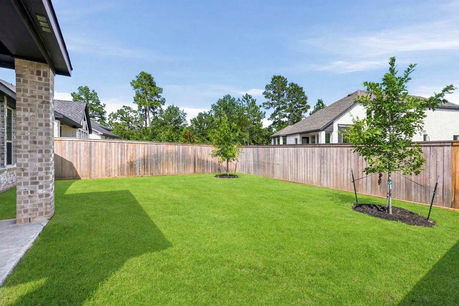 Backyard