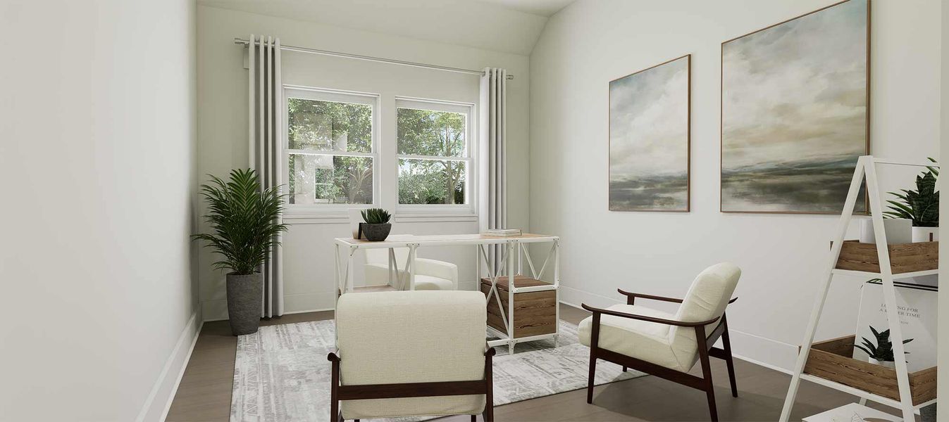 The Cherry Blossom - Study The Cherry Blossom - Study