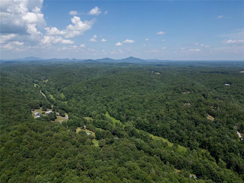 Natural landscape and outdoor views near  in Dahlonega (Image 48).