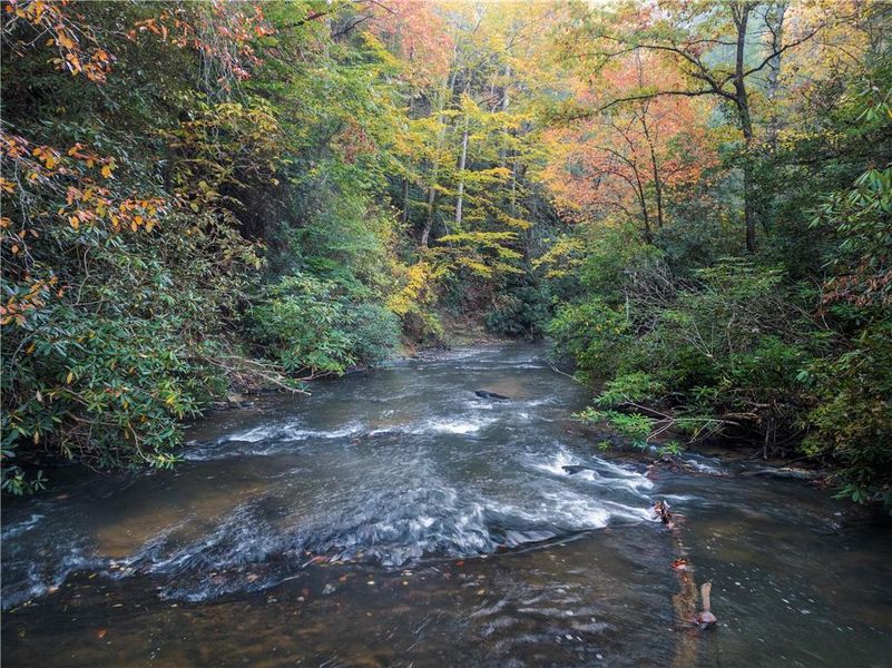 Natural landscape and outdoor views near  in Cherry Log (Image 50).