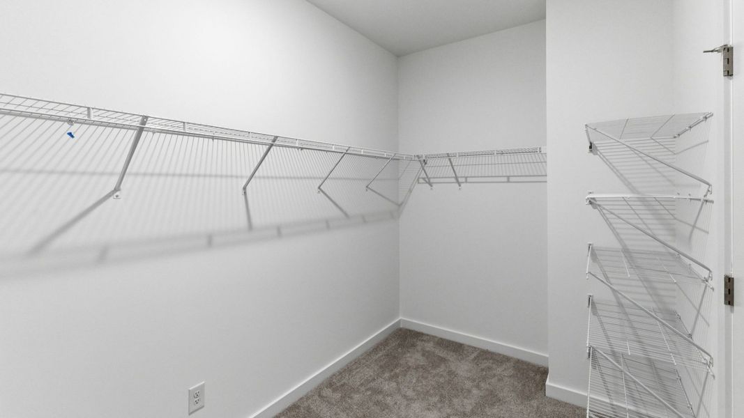 Closet with carpet and ventilated shelves