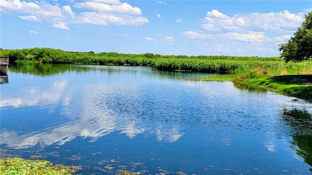 Natural landscape and outdoor views near in Debary (Image 33). Natural landscape and outdoor views near in Debary (Image 33).