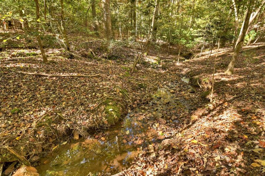 Natural landscape and outdoor views near in Ellijay (Image 28). Natural landscape and outdoor views near in Ellijay (Image 28).