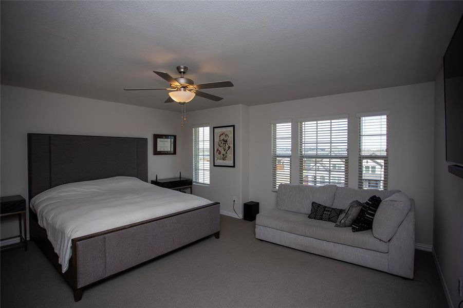 Bedroom featuring baseboards, multiple windows, carpet floors, and ceiling fan