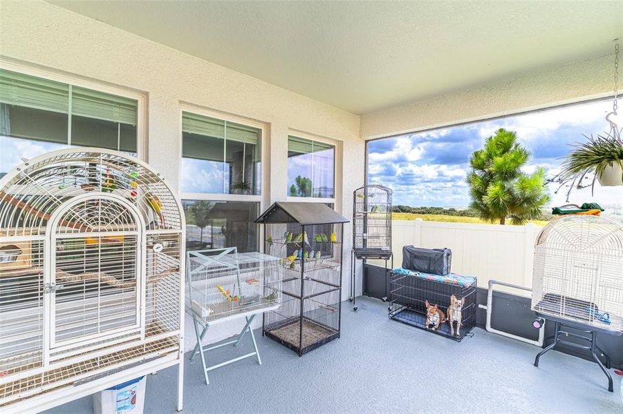 Exterior details and patio area of a home in , Haines City (Image 4).