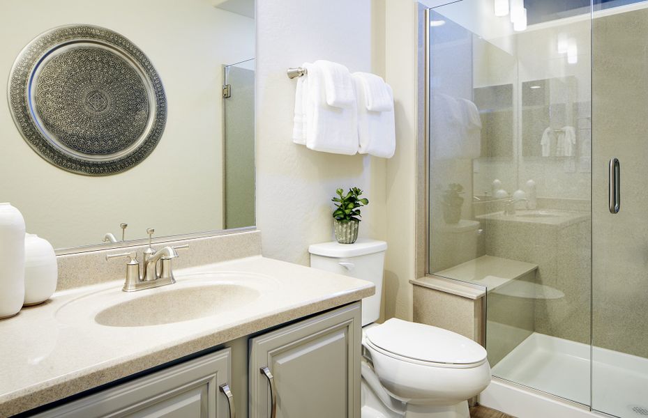 This Guest Bath Includes a Beautiful Shower