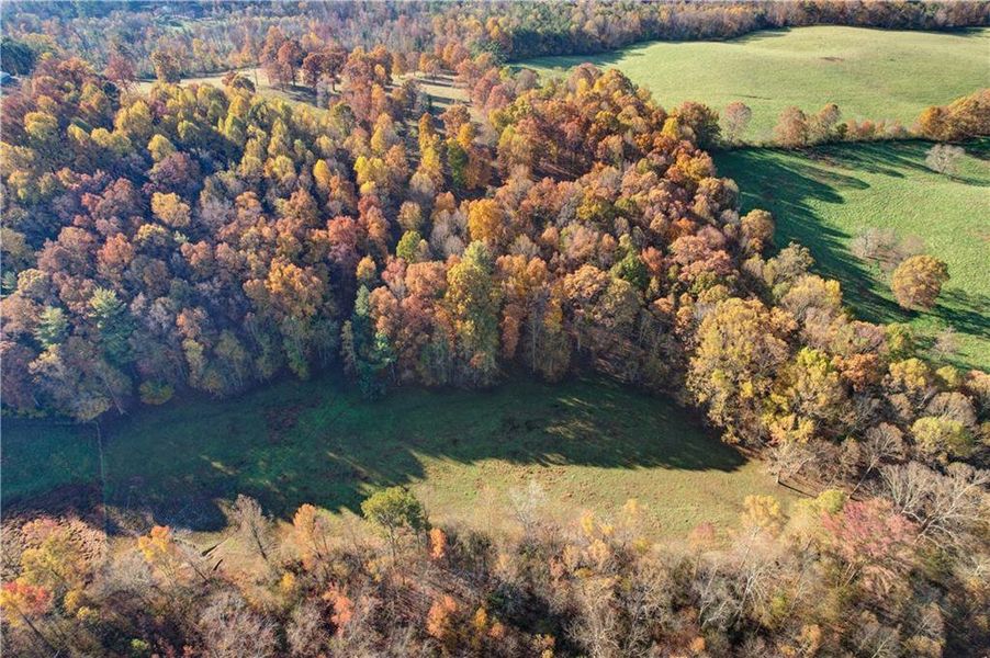 Natural landscape and outdoor views near in Ellijay (Image 129). Natural landscape and outdoor views near in Ellijay (Image 129).