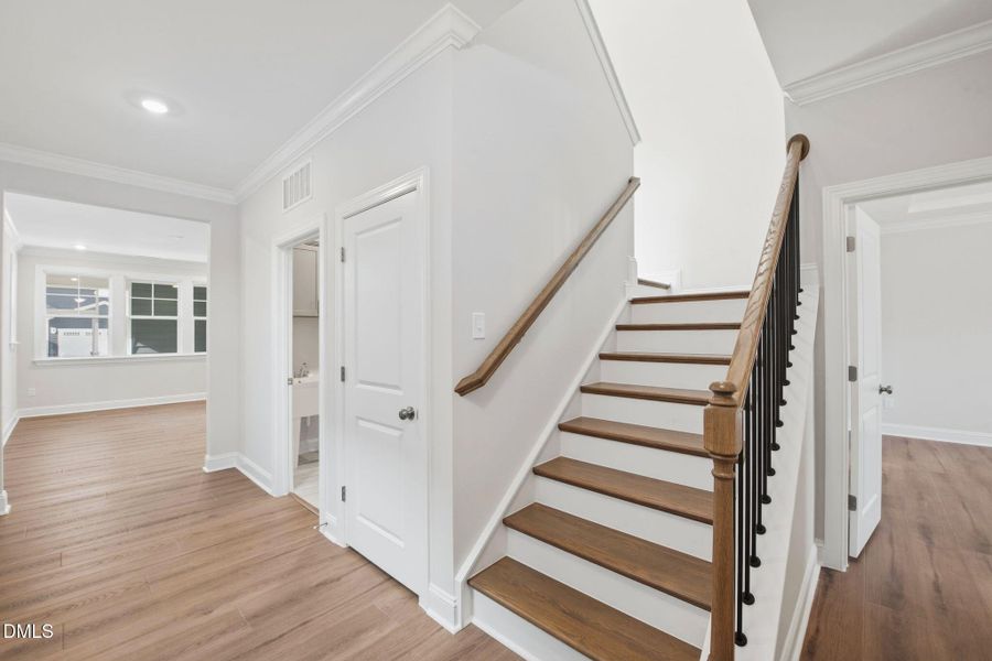 SUN_Rosedale_Pic_Tinsley-28