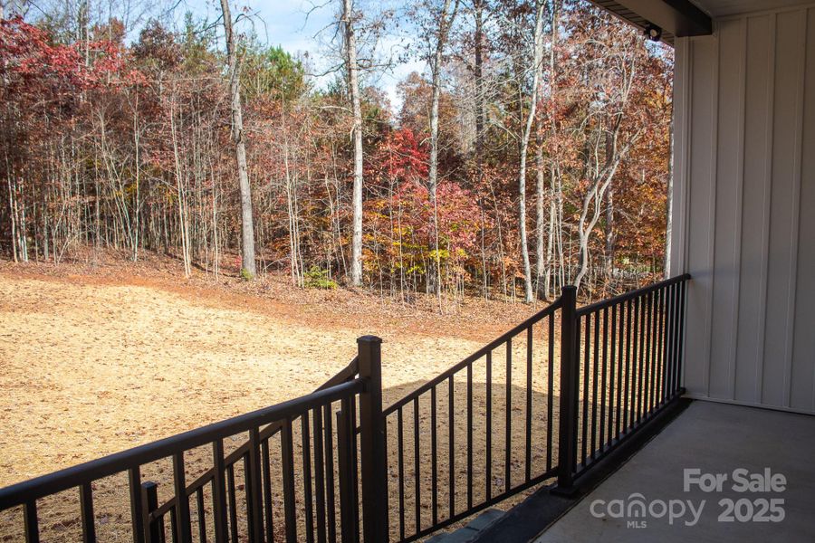 back porch and backyard