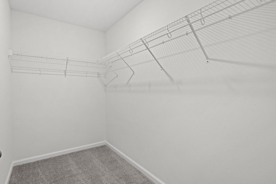 29_dsc09515 29_dsc09515