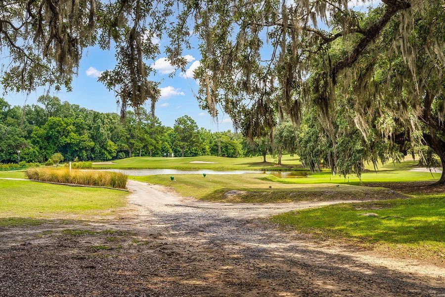 Natural landscape and outdoor views near  in Moncks Corner (Image 37).