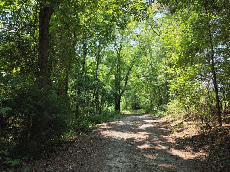Natural landscape and outdoor views near  in Santee (Image 24).