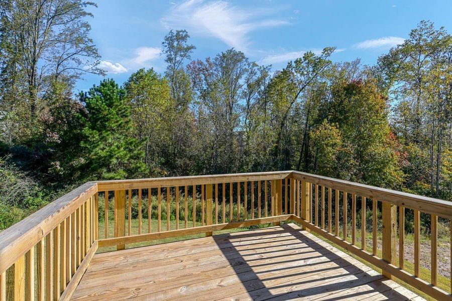 Natural landscape and outdoor views near Falls Creek in Flowery Branch (Image 42).