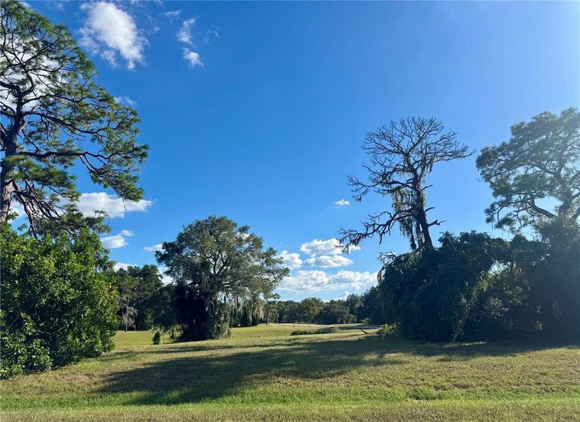 Natural landscape and outdoor views near in Tarpon Springs (Image 22). Natural landscape and outdoor views near in Tarpon Springs (Image 22).