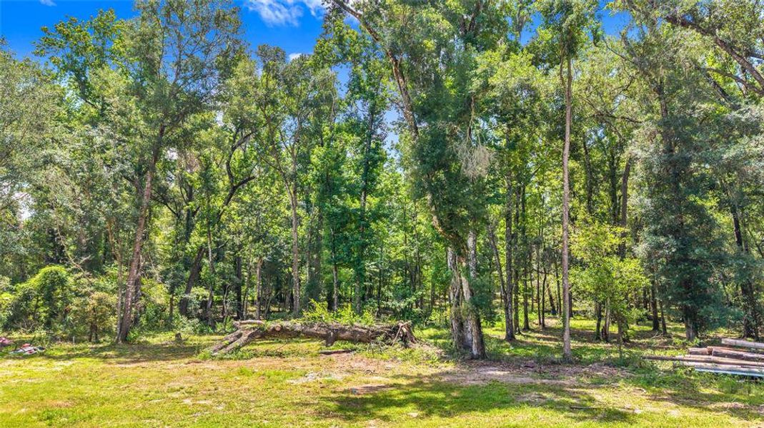 Natural landscape and outdoor views near  in Brooksville (Image 38).