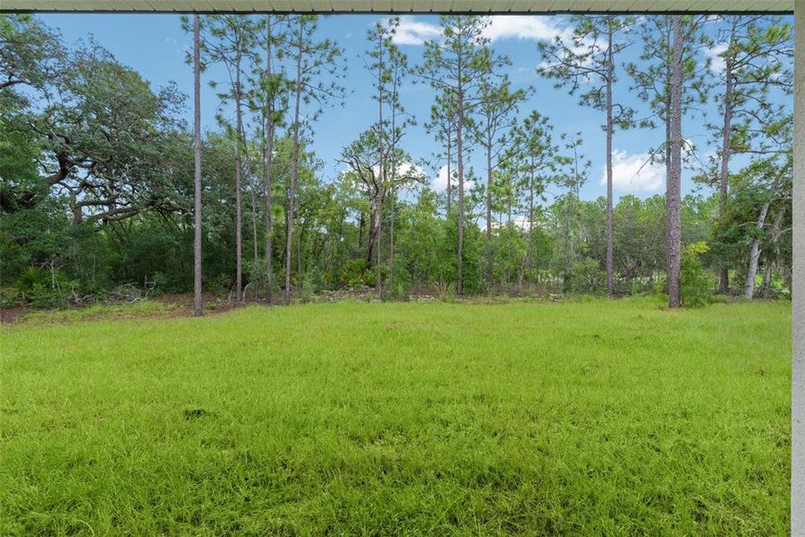 Natural landscape and outdoor views near  in Citrus Springs (Image 43).