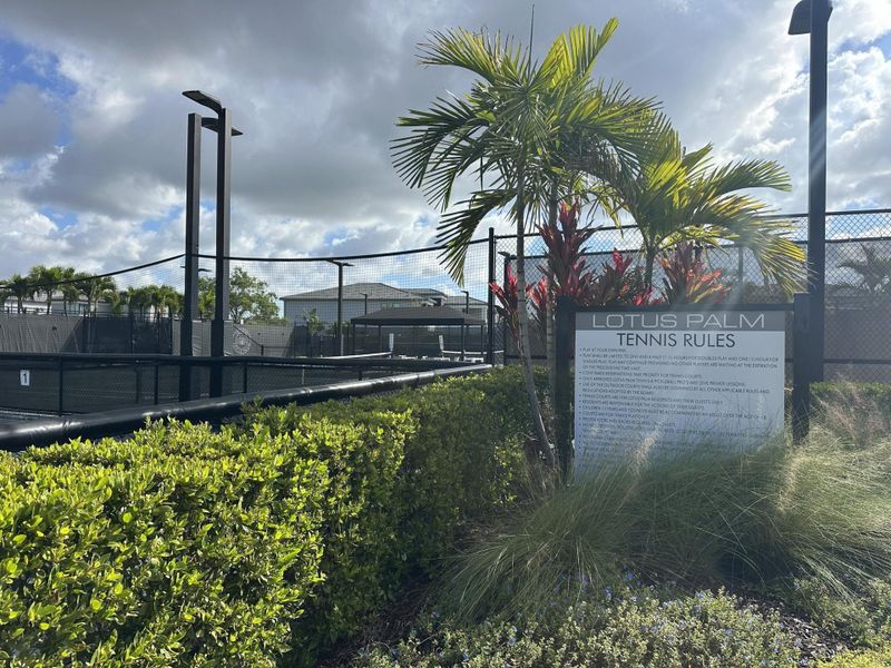 tennis courts tennis courts