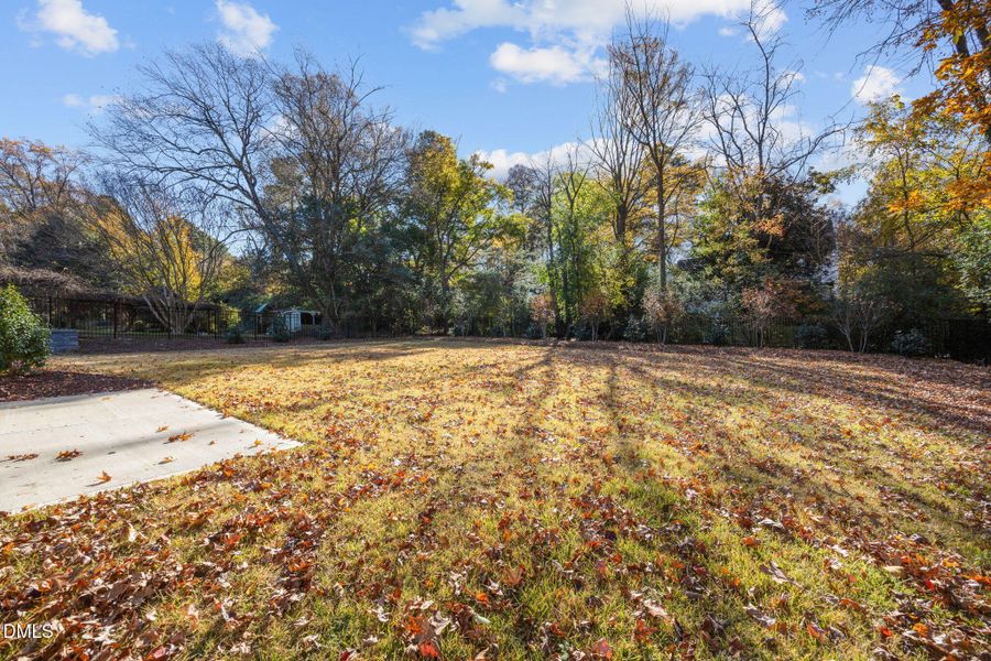 60-web-or-mls-IMG_2096