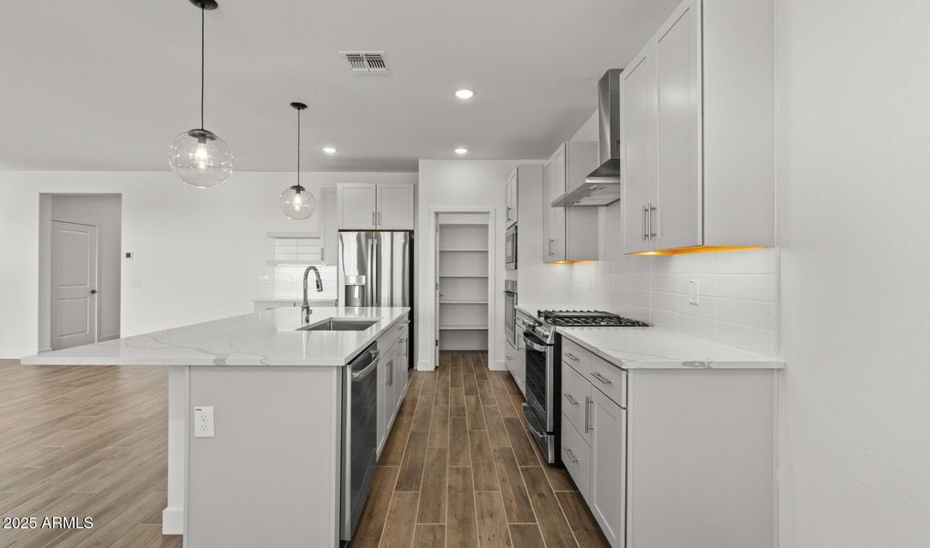 Manor Lot #55 Kitchen (5) (Large)