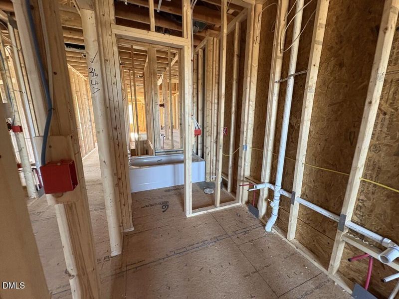 Photo Dec 01 2025, 11 43 39 AM (Medium)