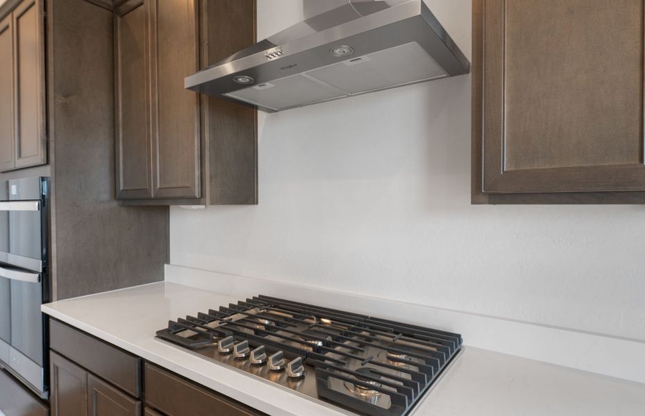 Close-up of interior finishes inside a home in Artisan at Asante, Surprise (Image 20).
