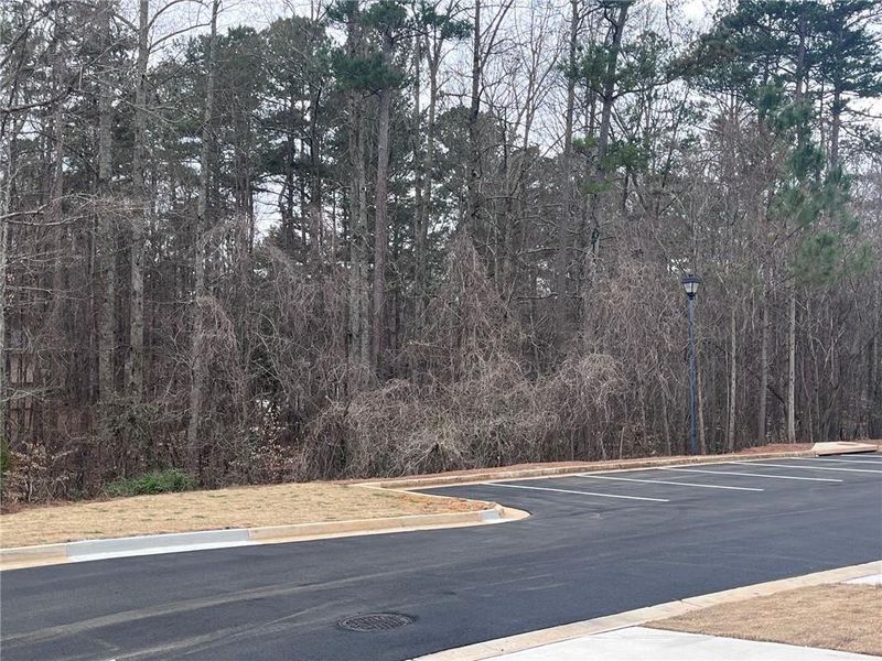 Natural landscape and outdoor views near Governors Parc in Kennesaw (Image 37).