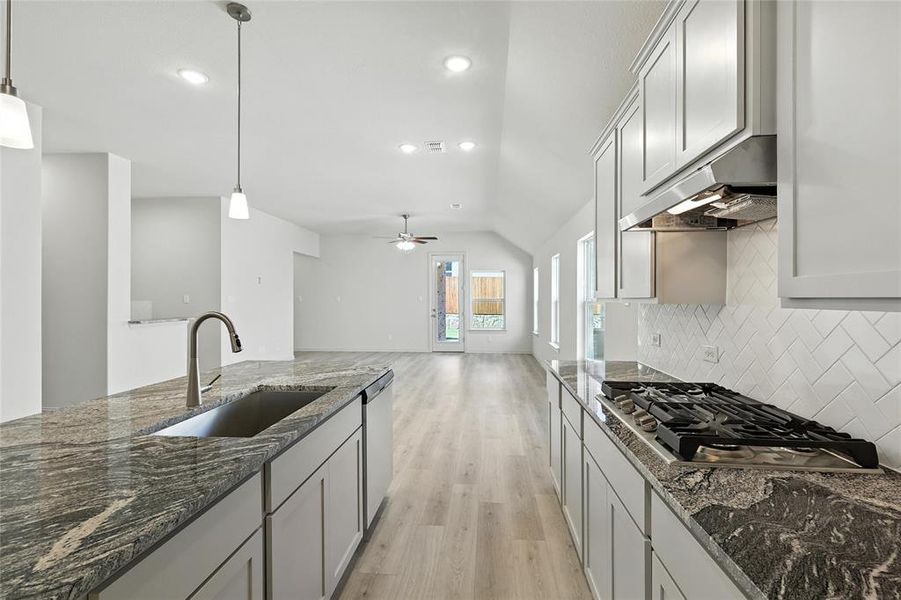 Kitchen featuring stainless steel appliances, under cabinet range hood, light wood-style floors, tasteful backsplash, and vaulted ceiling Kitchen featuring stainless steel appliances, under cabinet range hood, light wood-style floors, tasteful backsplash, and vaulted ceiling