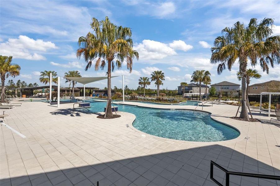 Community amenities in , Wesley Chapel (Image 25).