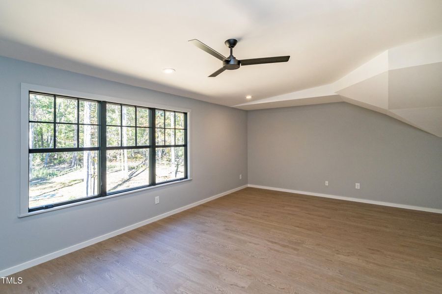 Large Windows with Wooded Views