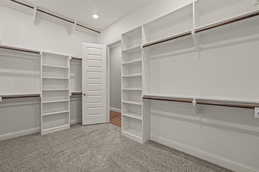 Spacious closet featuring light colored carpet