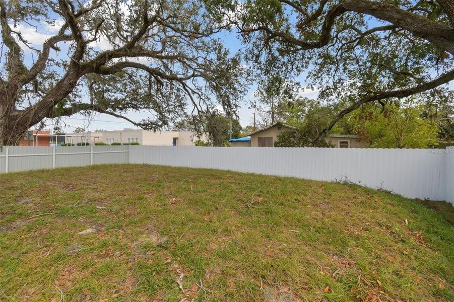 Natural landscape and outdoor views near  in Tampa (Image 32).