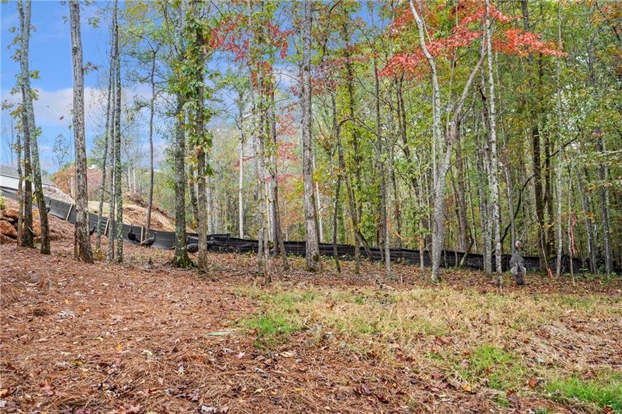 Natural landscape and outdoor views near Aster in Roswell (Image 38). Natural landscape and outdoor views near Aster in Roswell (Image 38).