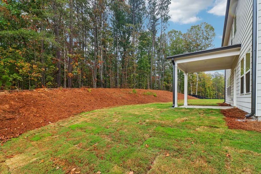 Rear Covered Patio