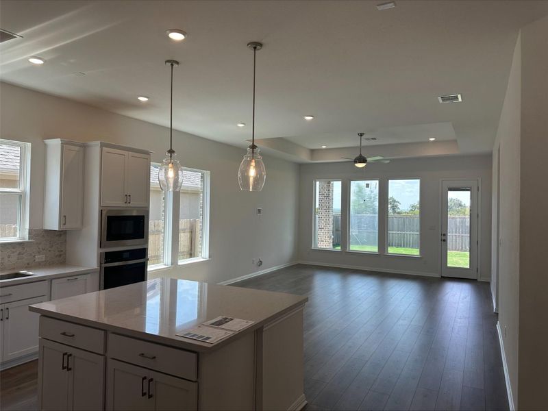 305 Golden Sage Ave - Under Construction 305 Golden Sage Ave - Under Construction