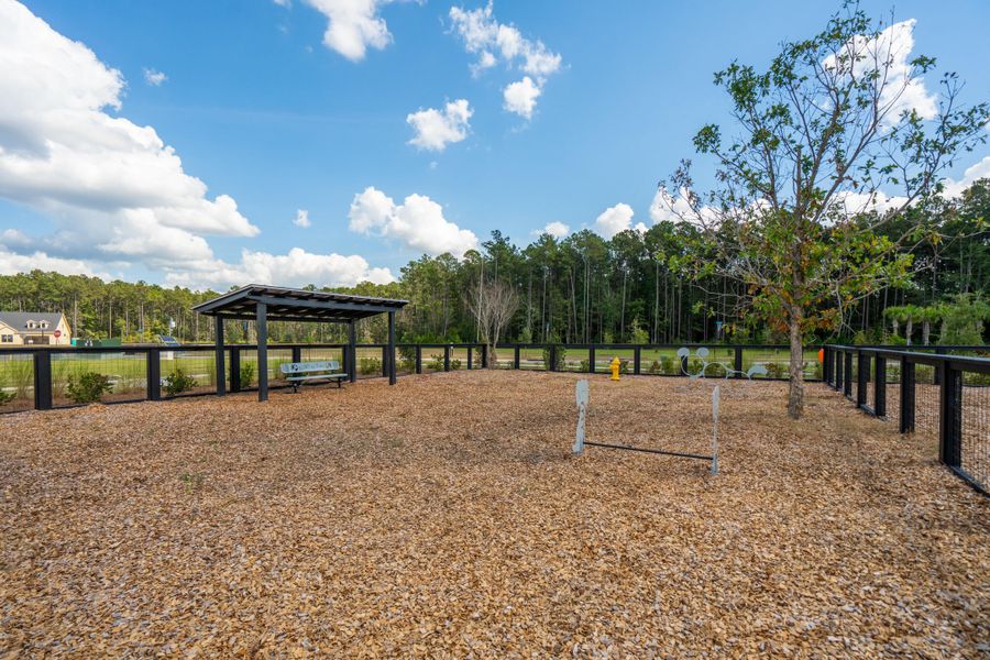 Community amenities in , Summerville (Image 57).