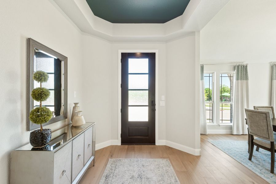Foyer with dark front door, tray ceiling, hardwood floors, and console table with decorative plants