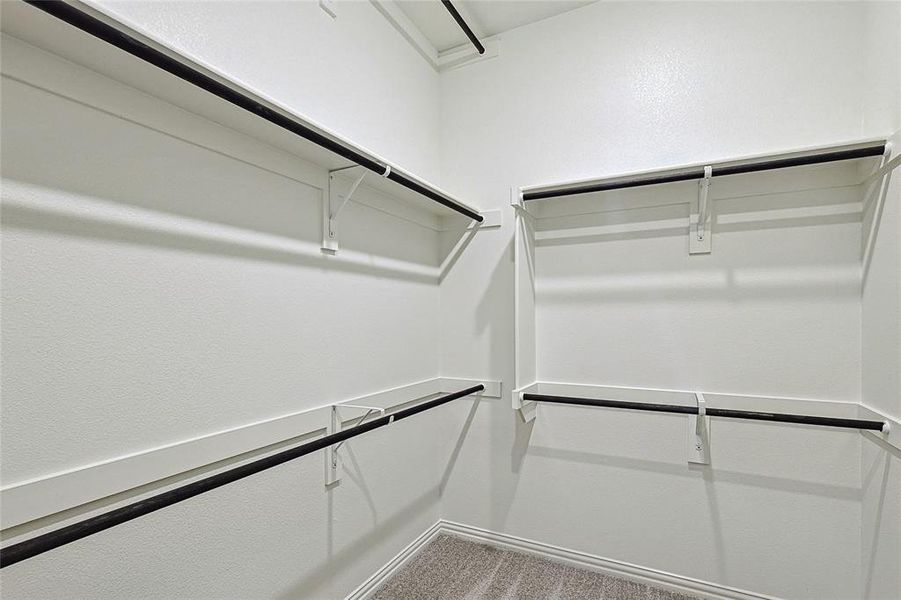 Spacious closet featuring carpet flooring