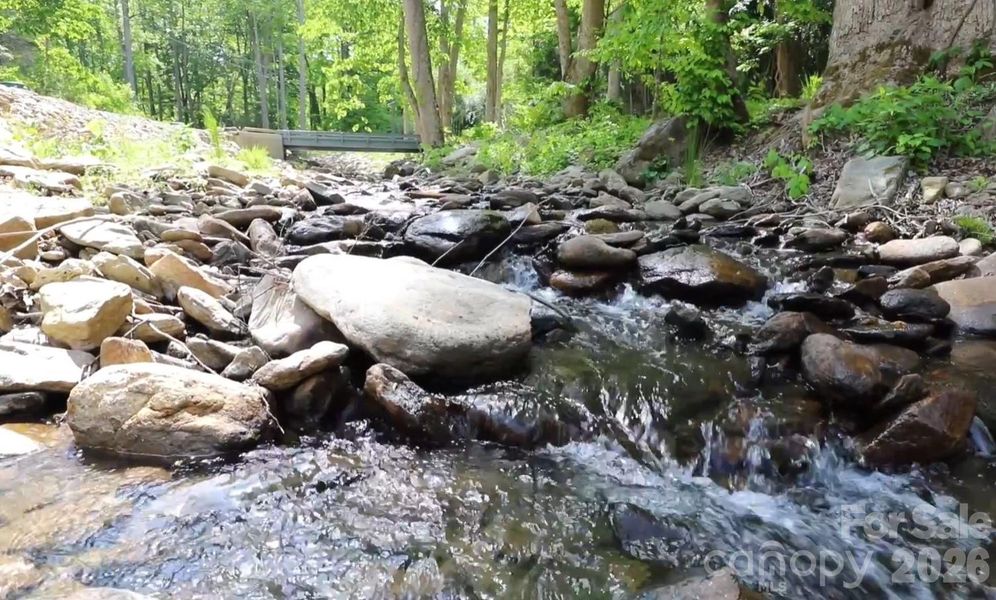 Natural landscape and outdoor views near  in Weaverville (Image 23).
