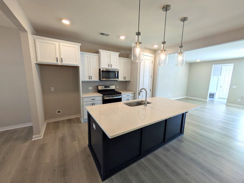 Furnished interior view inside a new home in , Ravenel (Image 9).