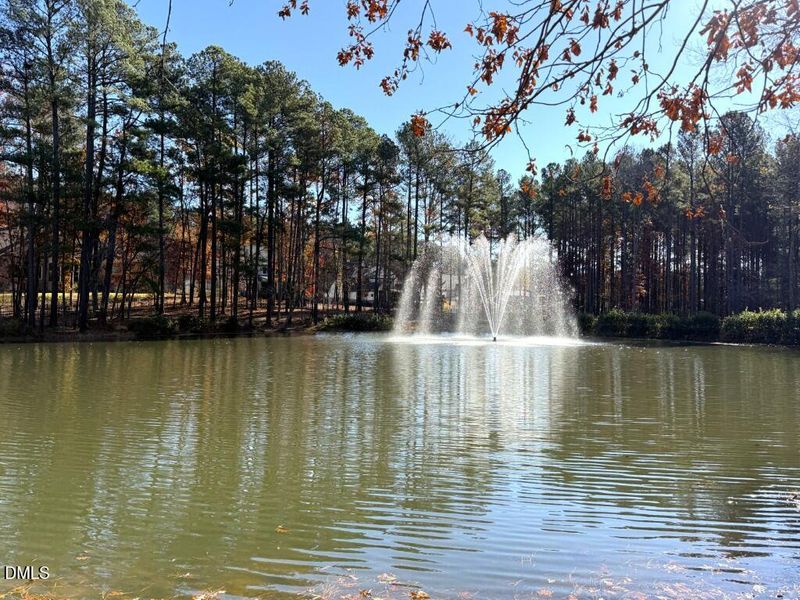 IMG_1402 2 (Medium) IMG_1402 2 (Medium)