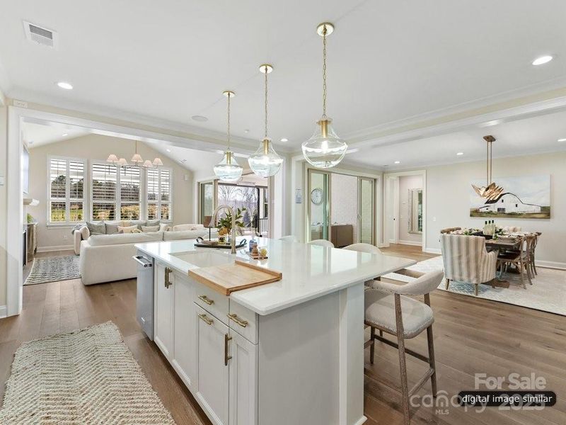 Furnished interior view inside a new home in McLean - South Shore, Clover (Image 15).