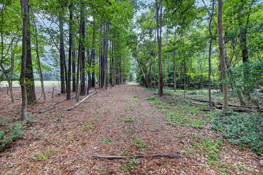 Natural landscape and outdoor views near  in Meggett (Image 30).