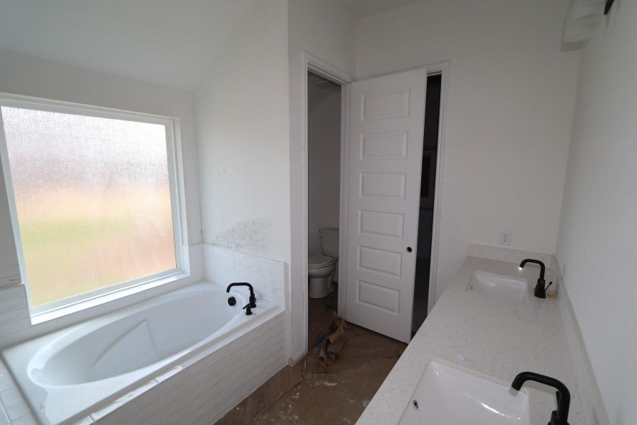 Owner's bath - still under construction!