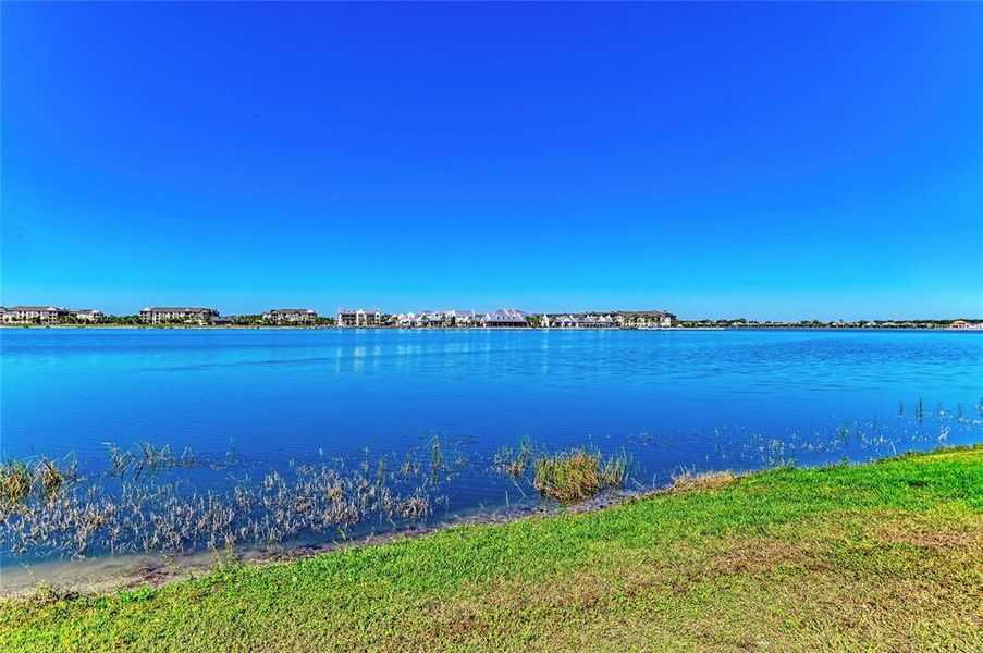 Natural landscape and outdoor views near Nautique at Waterside in Sarasota (Image 35).